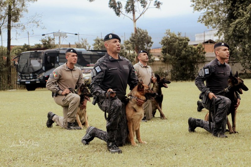 De acordo com a Brigada Militar, os cães de serviço aliam o faro aguçado e o vínculo de amizade com seus condutores, além de elevarem o policiamento gaúcho a um patamar de excelência internacional. Atualmente, são 98 cães espalhados pelo Rio Grande do Sul.