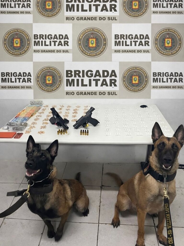 De acordo com a Brigada Militar, os cães de serviço aliam o faro aguçado e o vínculo de amizade com seus condutores, além de elevarem o policiamento gaúcho a um patamar de excelência internacional. Atualmente, são 98 cães espalhados pelo Rio Grande do Sul.