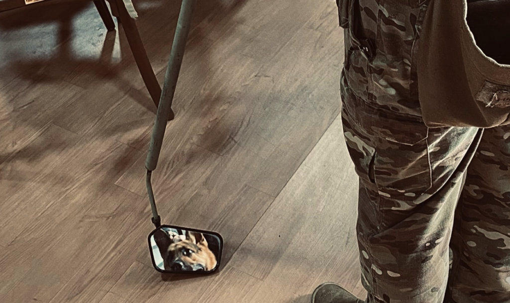 De acordo com a Brigada Militar, os cães de serviço aliam o faro aguçado e o vínculo de amizade com seus condutores, além de elevarem o policiamento gaúcho a um patamar de excelência internacional. Atualmente, são 98 cães espalhados pelo Rio Grande do Sul.