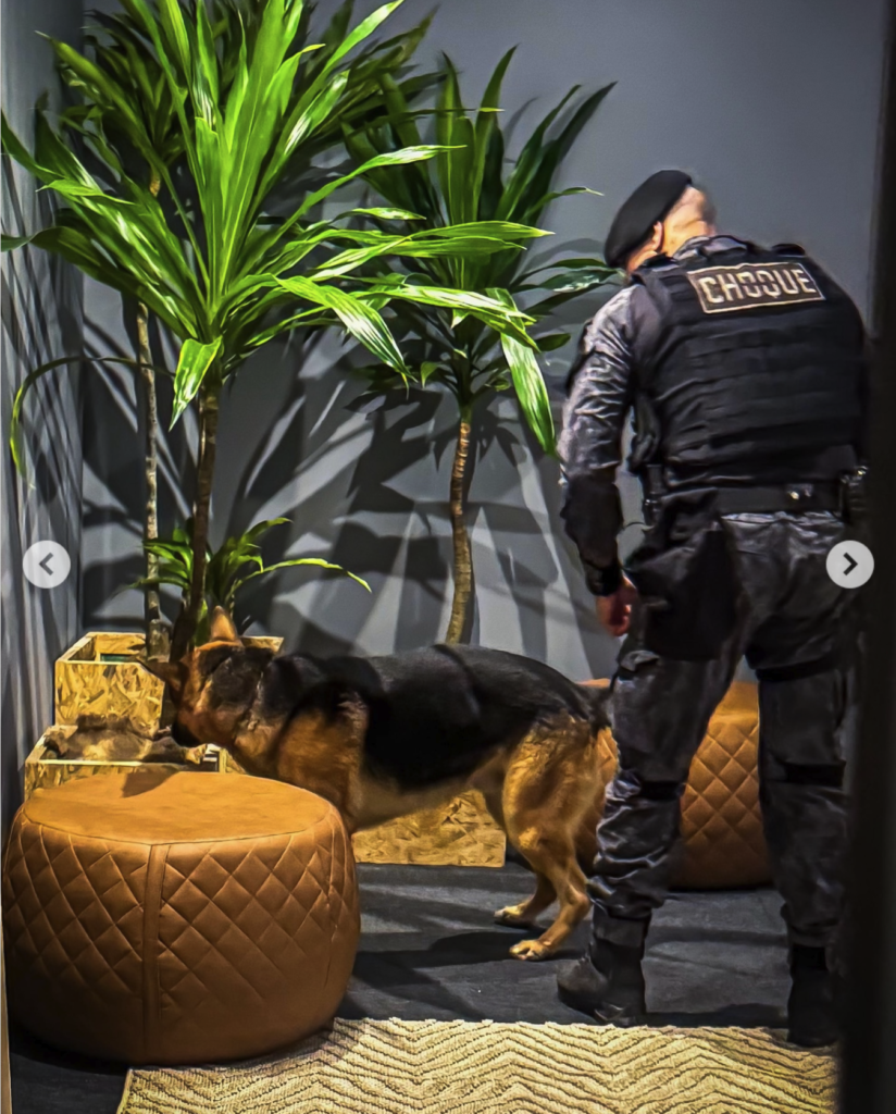 De acordo com a Brigada Militar, os cães de serviço aliam o faro aguçado e o vínculo de amizade com seus condutores, além de elevarem o policiamento gaúcho a um patamar de excelência internacional. Atualmente, são 98 cães espalhados pelo Rio Grande do Sul.