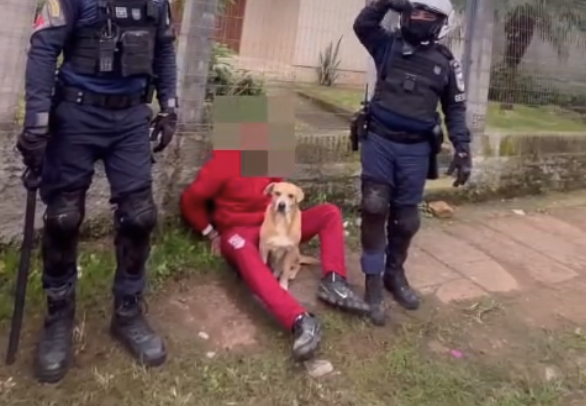 Nas imagens, que não são institucionais, os animais aparecem circulando e fazendo a "guarnição" do suspeito.