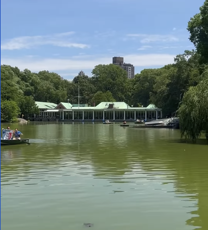 No Central Park, DuduNews encontra família gaúcha em um dos endereços mais famosos do mundo