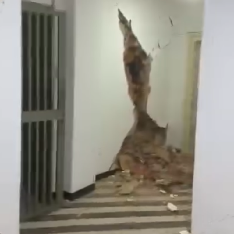 "Gente viva, soterrada, pedindo ajuda": venezuelano que vive em Novo Hamburgo voltou ao país pela primeira vez e vive de perto a tragédia do terremoto