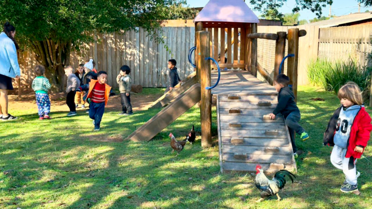 Pátio com natureza, trilhas e terra: escola municipal "tira paredes" da infância Novo Hamburgo