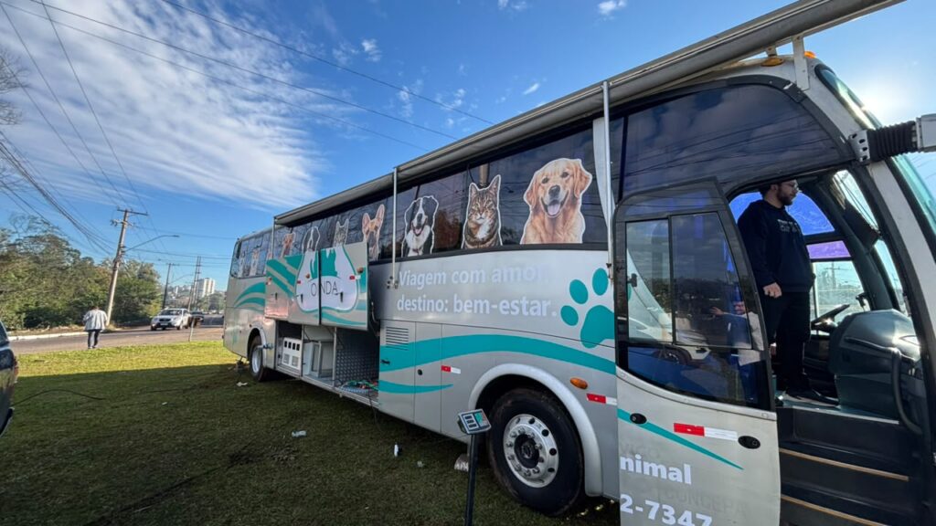 Grande mutirão promete castrar mais de 120 cães e gatos de graça em Novo Hamburgo