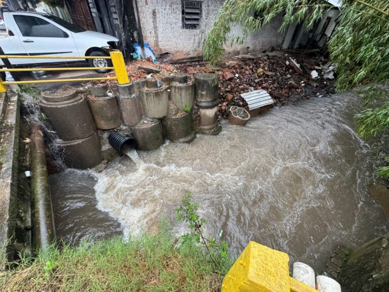 Foto: Gustavo de Souza / Prefeitura Municipal de Esteio